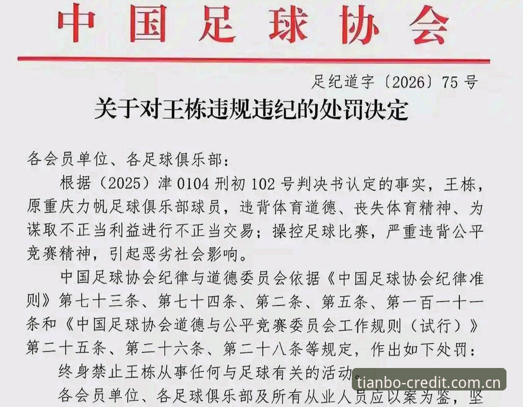 2026天博体育平台 资深球迷亲历足协重磅罚单,聊聊我在天博体育官方认证平台看球那点事儿