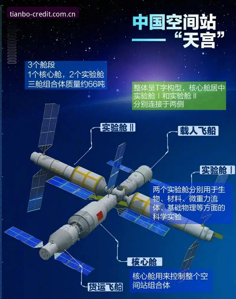 天博最新版本全面解析：从官方认证到智能投注的行业深度分析